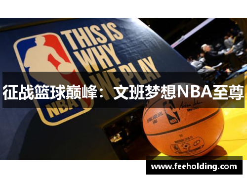 征战篮球巅峰：文班梦想NBA至尊